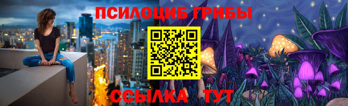 Галлюциногенные грибы MAGIC MUSHROOMS  Вход с VPN  Галлюциногенные грибы Psilocybe  купить наркотики цена  Междуреченск 
