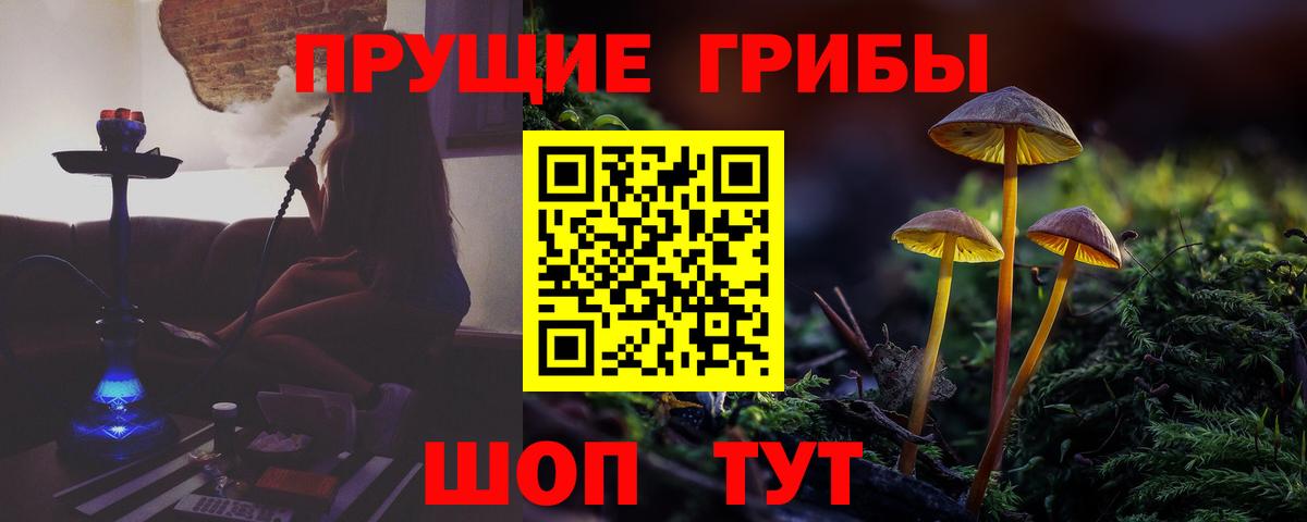 Псилоцибиновые грибы GOLDEN TEACHER Междуреченск